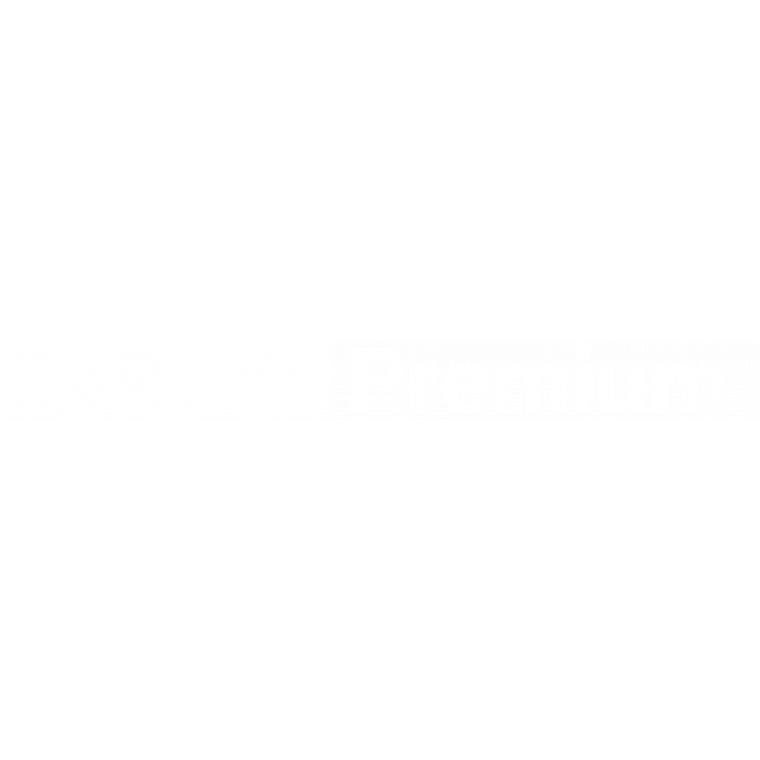 ZeBuds Premium - ZeBuds Premium - Auricolari wireless TWS con custodia di ricarica in alluminio - MyKronoz
